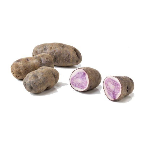 Patate-delizia-blu-HQF-Agricola.png