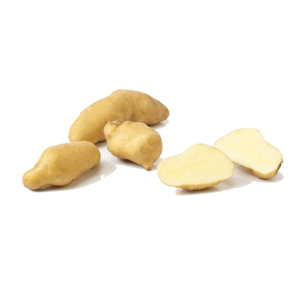 Patate-ratte-3-kg-HQF-Agricola.png